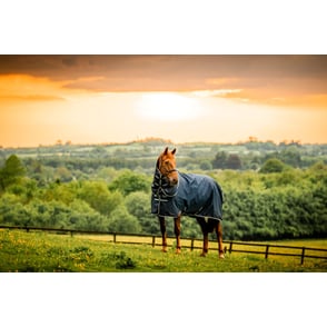 Amigo Ripstop 900D Plus Pony Turnout 200g