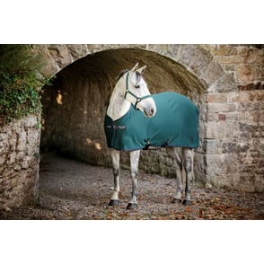 Amigo Pony Jersey Cooler