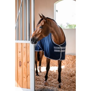 Amigo Stable Sheet