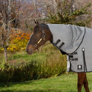 Equinavia Arktis Turnout Neck Cover 0g