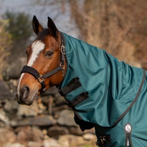 Equinavia Arktis Turnout Neck Cover 200g