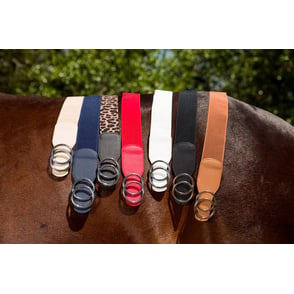 Double Circle 2" Elastic Belt