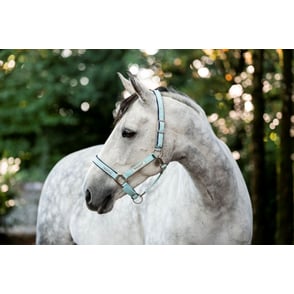 Horseware Fieldsafe Halter