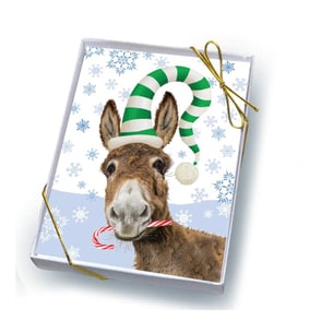 Christmas Card Box of 8: Donkey & Candy Cane