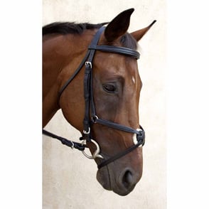 Nunn Finer Fair Hill Figure 8 Bridle