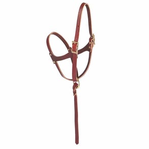 Weaver Leather Figure 8 Adjustable Foal Halter