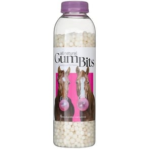 GumBits 12oz