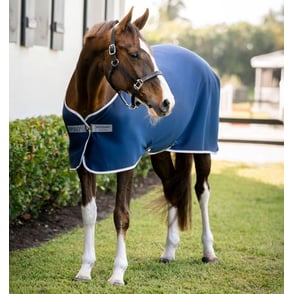 Amigo Jersey Cooler