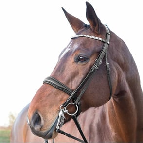 Horze Laelia Weymouth Dressage Bridle