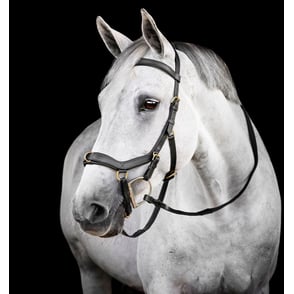 Rambo Micklem Multi Bridle