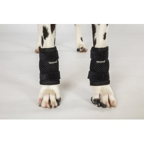 Back on Track Milo Dog Leg Brace