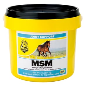 Select MSM - 2 lb