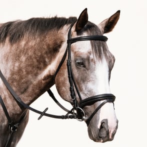 Nunn Finer Brentina Bridle
