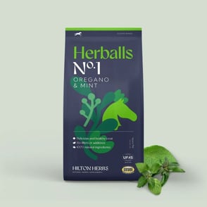 Hilton Herbs Herballs Horse Treats 4.4 lbs
