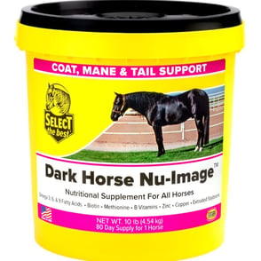 Nu Image Dark Horse - 10 lbs