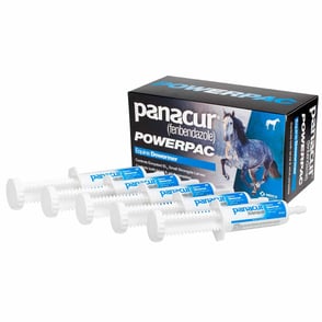 Panacur PowerPac Equine Dewormer - 5pack