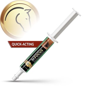 Perfect Prep Pro Focus Calming Paste