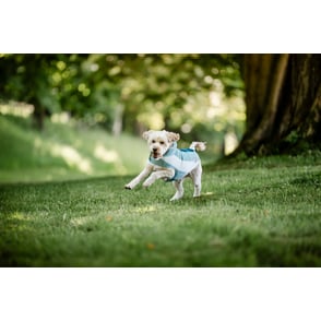 Horseware Newmarket Dog Fleece