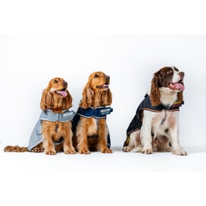 Horseware Newmarket Dog Coat