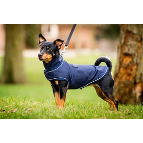 Horseware Signature Dog Rain Coat