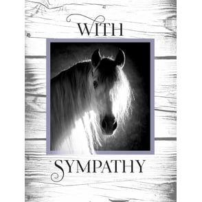 Sympathy Card: White Wood Horse