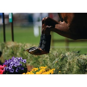 Equi-Essentials Studs - 10 Packs