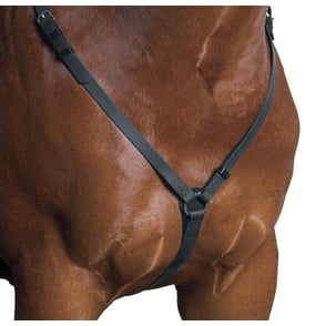 Wintec Breastplate