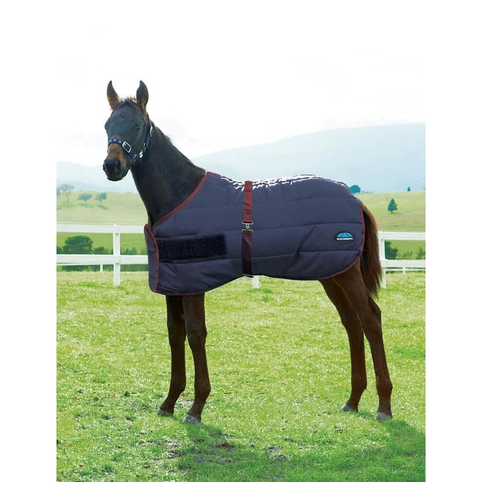 Weatherbeeta 420D Foal Standard Neck Medium 220g