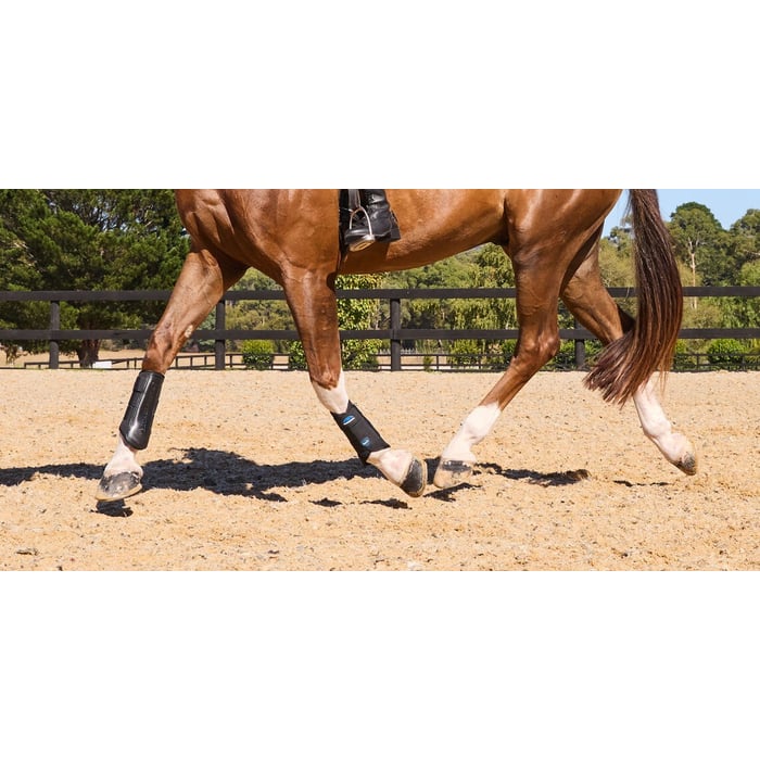 Weatherbeeta Tough-Tec Prime Brushing Boots