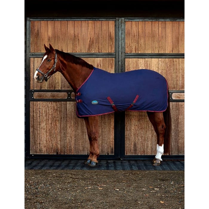 Weatherbeeta Cotton Sheet Standard Neck