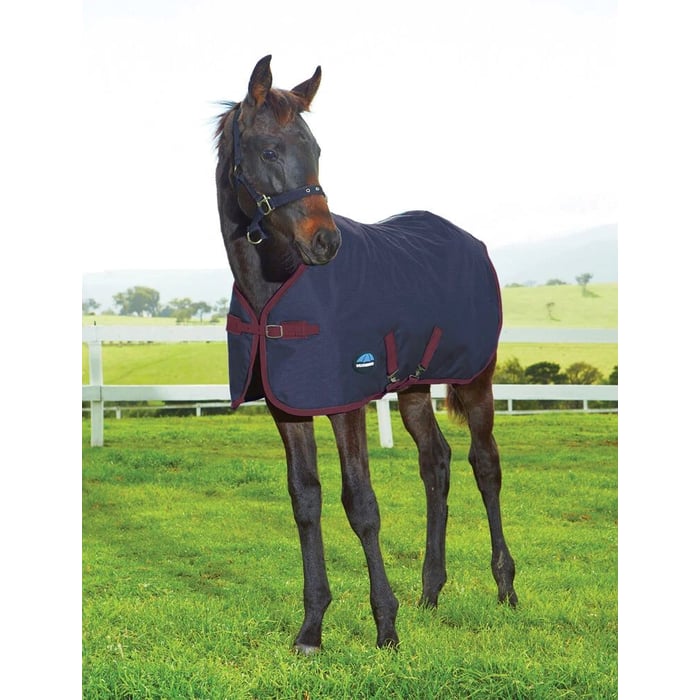 Weatherbeeta 200D Foal Standard Neck 220G