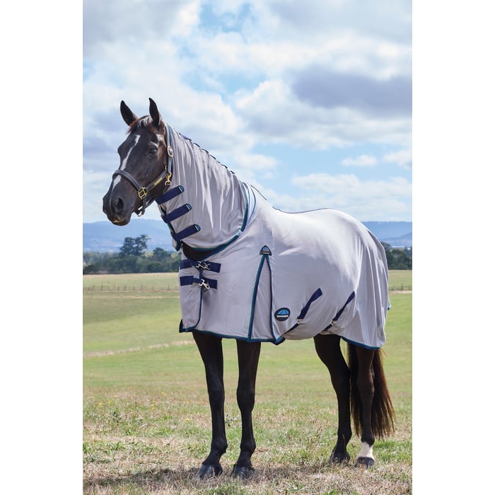 Weatherbeeta Comfitec Zephyr Fly Sheet Combo