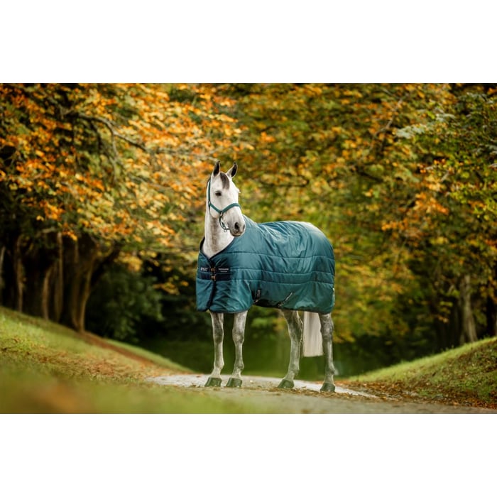Amigo Insulator Stable Blanket Medium Weight