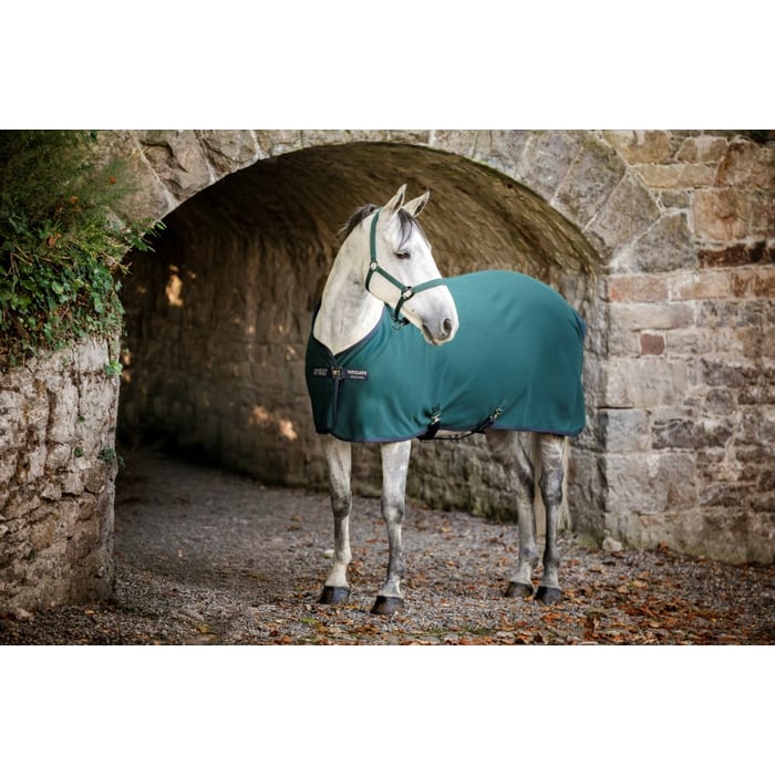 Amigo Pony Jersey Cooler