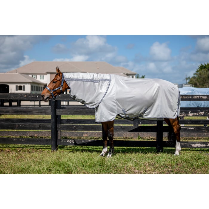 Amigo Bug Rug XL Plus