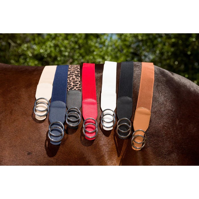 Double Circle 2" Elastic Belt
