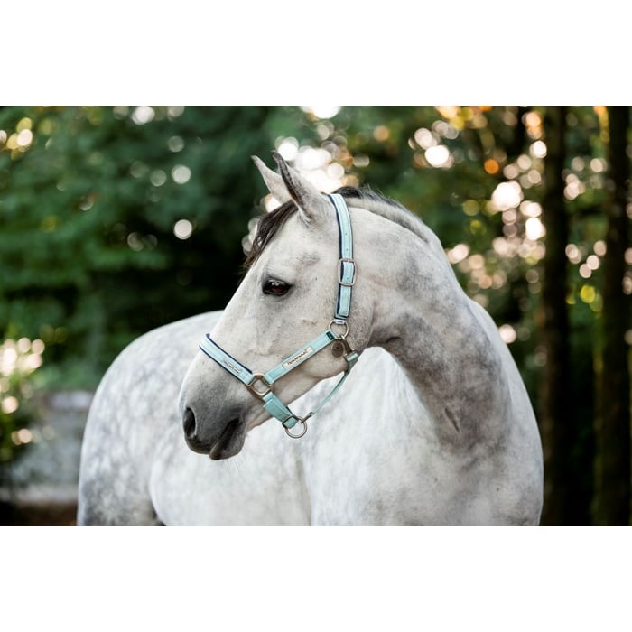 Horseware Fieldsafe Halter