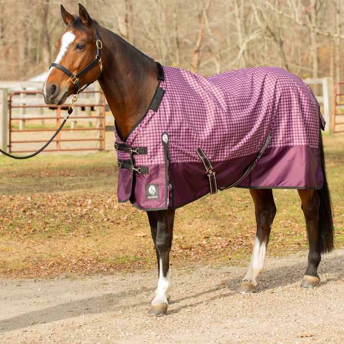 Equinavia Norse Lightweight Turnout Blanket 100g