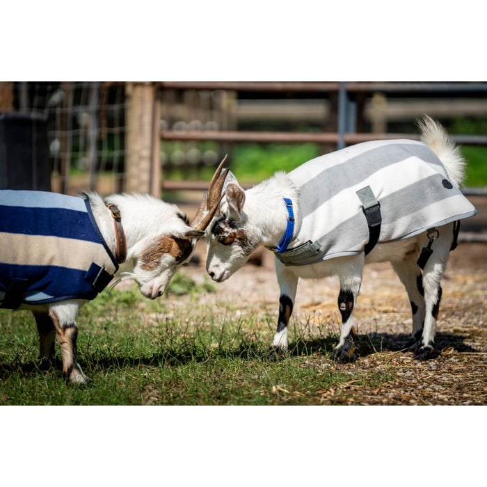 Horseware Newmarket Goat Fleece