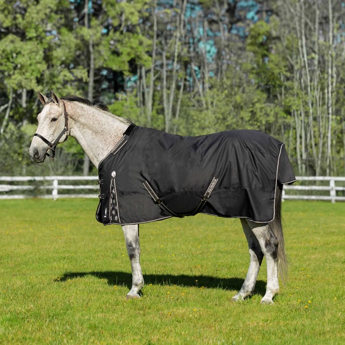 Equinavia Norse Mid-Heavy Weight Turnout Blanket 200g
