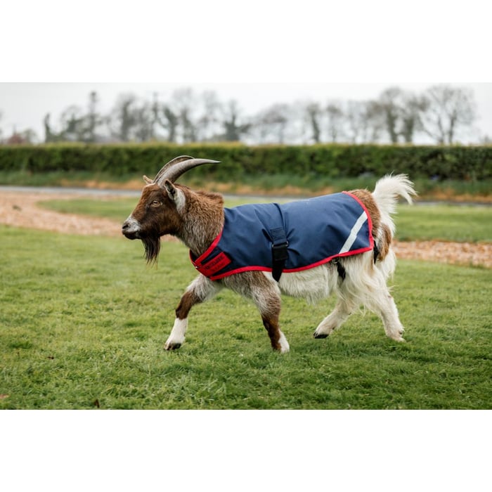 Horseware Goat Coat 200g
