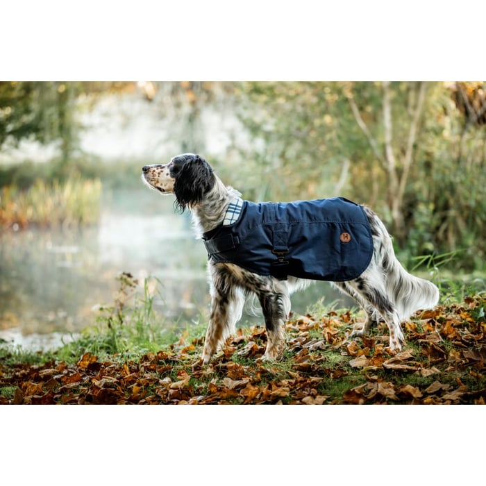 Horseware Newmarket Heritage Dog Coat