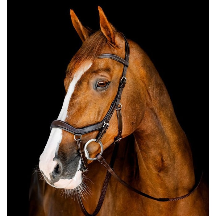 Horseware Micklem Competition Bridle