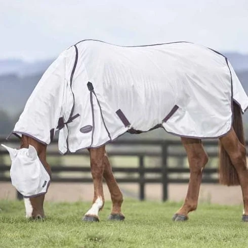 Fly Protection