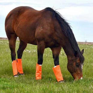 Fly Boots