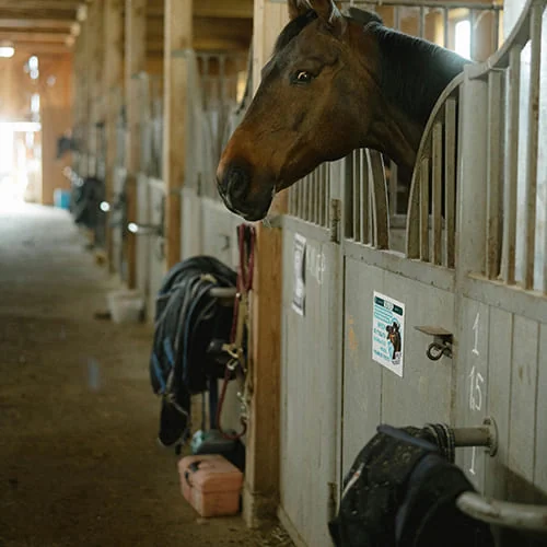 Barn Supplies