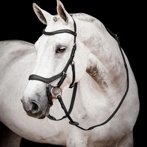 Bridles + Bits