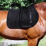 Saddle Pads