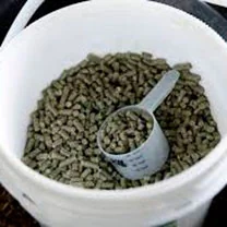 Supplements + Wormers