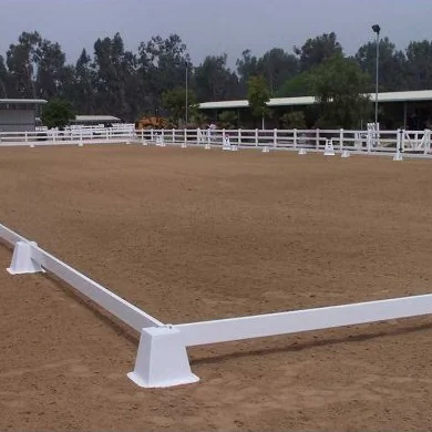 Arenas